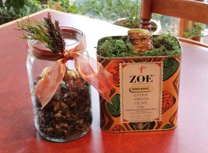 amaryllis bulbs in recycled metal tin