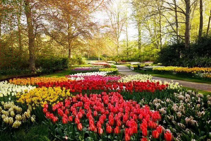 Invest in a Colorful Spring Garden - Longfield Gardens