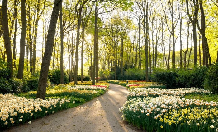 Invest in a Colorful Spring Garden - Longfield Gardens