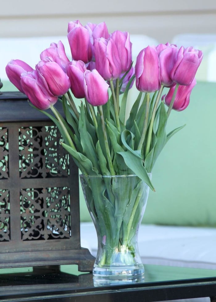 violet_beauty_in_a_vase.jpg?v=1765892258