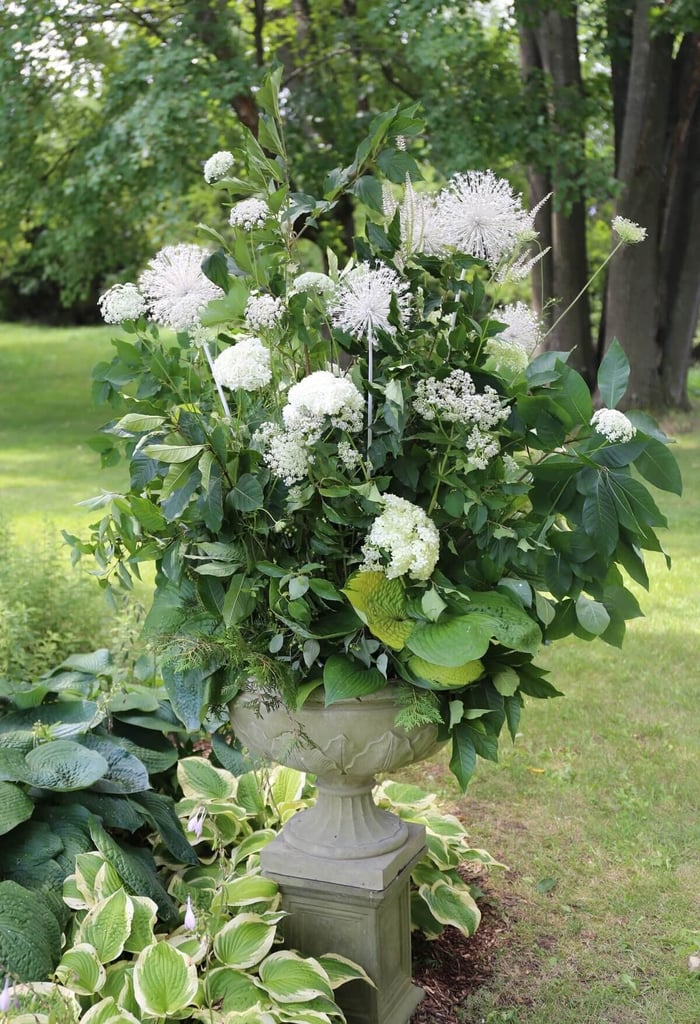 Another Reason to Love Alliums - Longfield Gardens