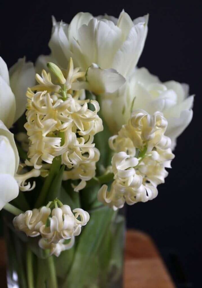 Make Room in Your Garden for Hyacinths - Longfield Gardens