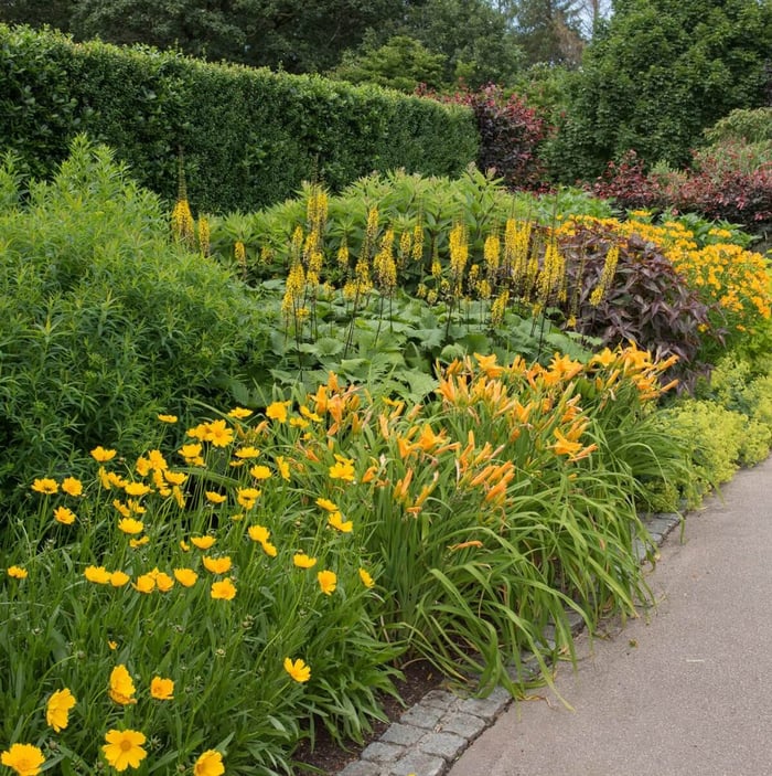 5 Tips for Growing Daylilies - Longfield Gardens