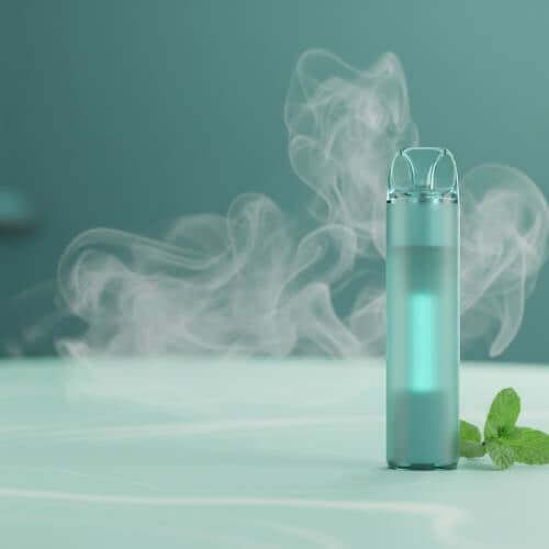 Best Mint Zero Nic Vapes