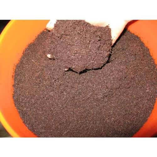 Coffee Grounds and Coir Substrate