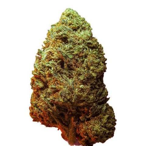 Delta 8 OG Kush Flower