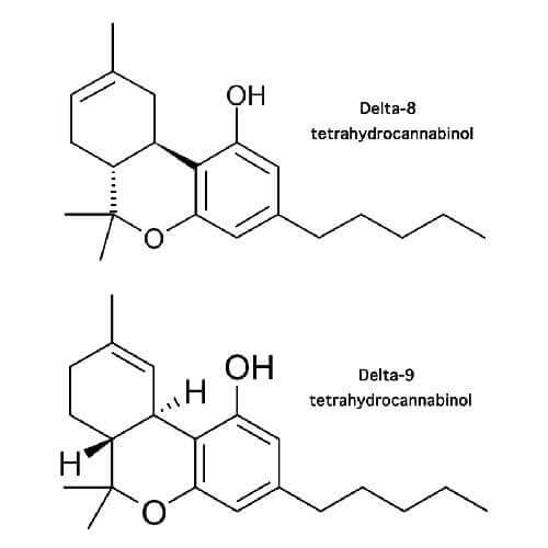 Delta 8 vs Delta 9