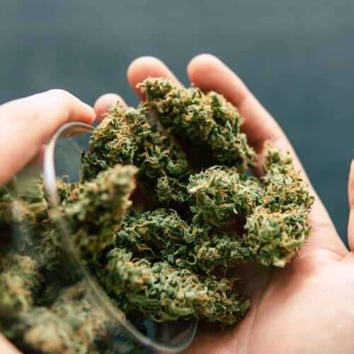 CBD