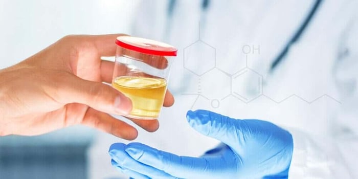 How Long Does HHC Stay In Your System?