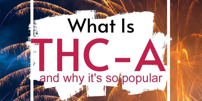 What Is THCA and Why It's So Popular