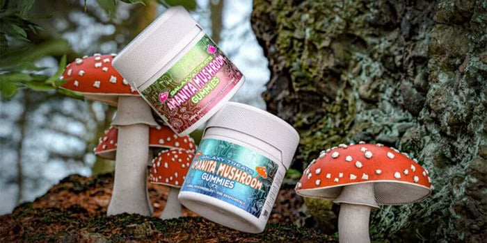 Mushroom Gummies: Here's What You Need To Know