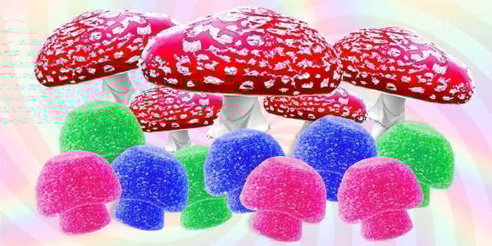 The Amazing Effects of Amanita Mushroom Gummies