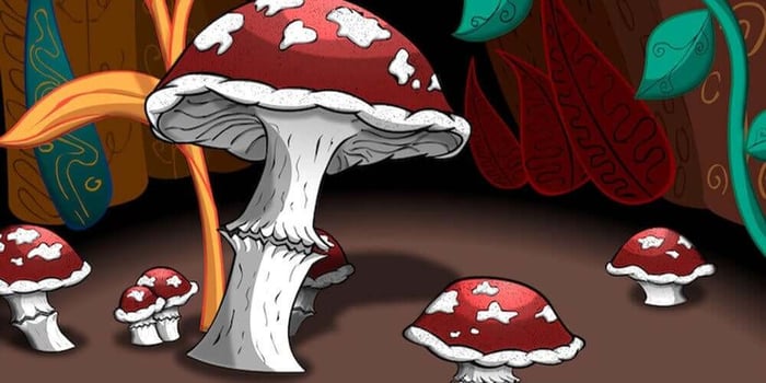 What Are Amanita Mushrooms and Where Can I Buy Them?