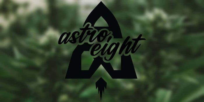Astro Eight Deep-Dive: What Makes These Blends Hit Different?