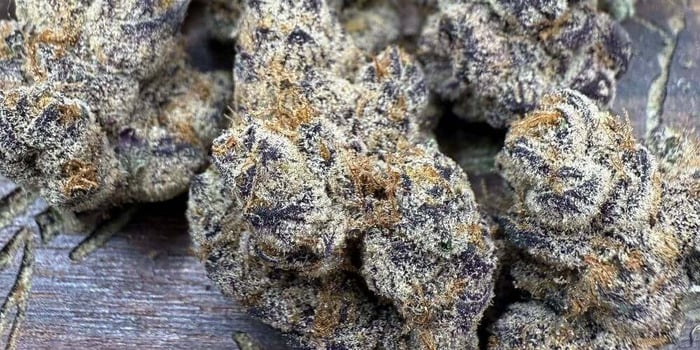 Cookies THCA: Gummies, Disposables, and Prerolls Reviewed