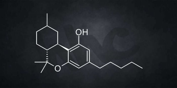 Does HHC Get You High?