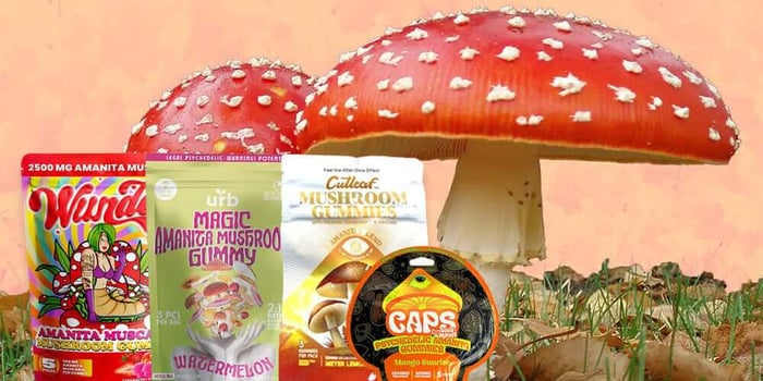 Amanita Mushroom Gummies Complete Guide