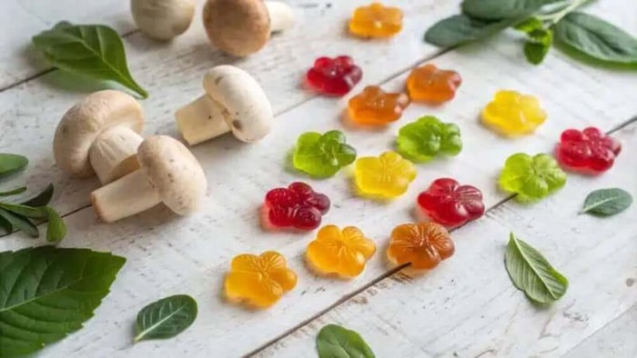 How Long Do Mushroom Gummies Last?