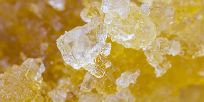 Live Rosin, Liquid Diamonds, and Melted Diamonds: What’s the Difference?