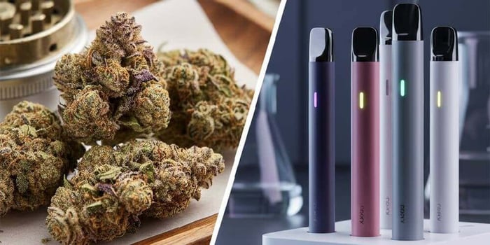 THCA Flower vs THCA Disposables