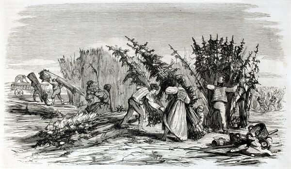 hemp farming
