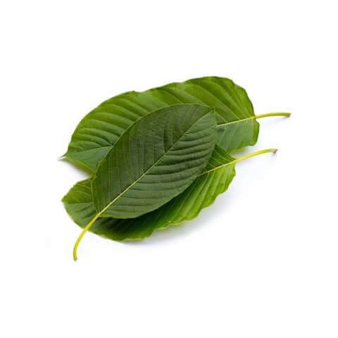 Kratom Leafs