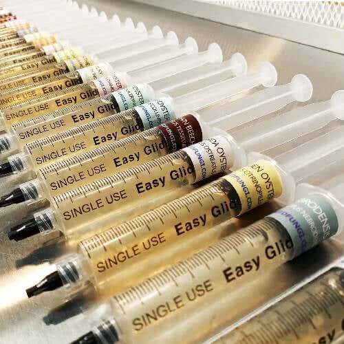 Liquid Mushroom Spores in Bulk
