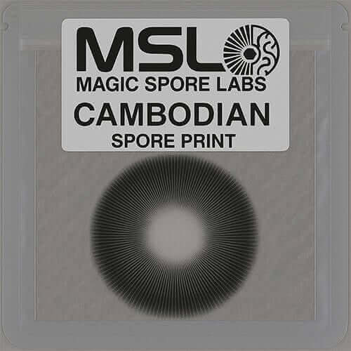 Cambodian Mushroom Spore Prints