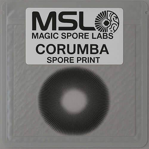 Corumba Mushroom Spore Prints