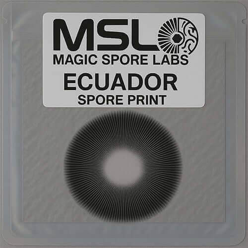 Ecuador Mushroom Spore Prints