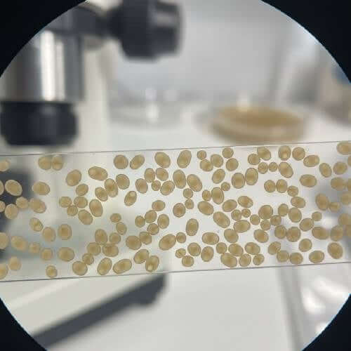 What It Is + Why It’s Talked About