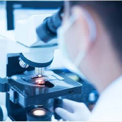 Microscopy spores