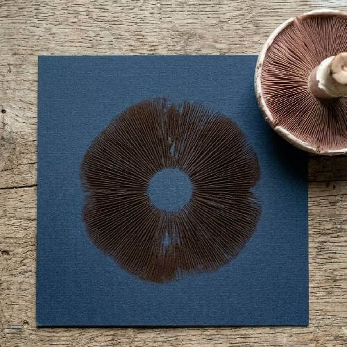 What Are Zico Mushroom Spore Prints