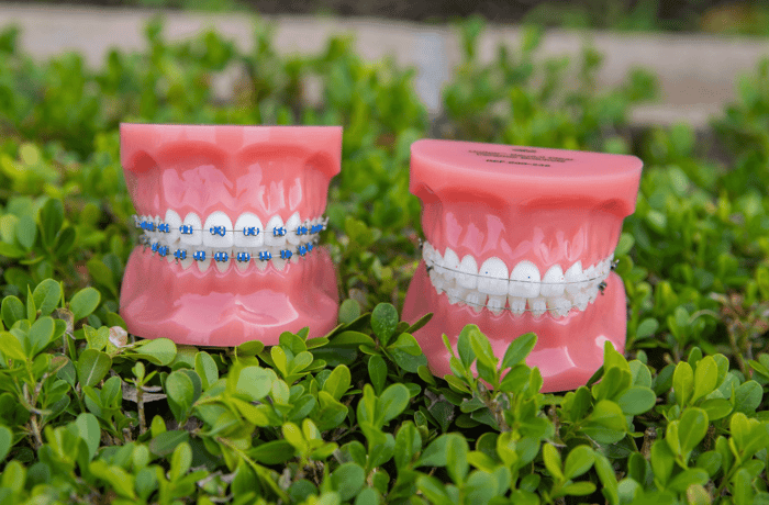 Two dentures on a grass