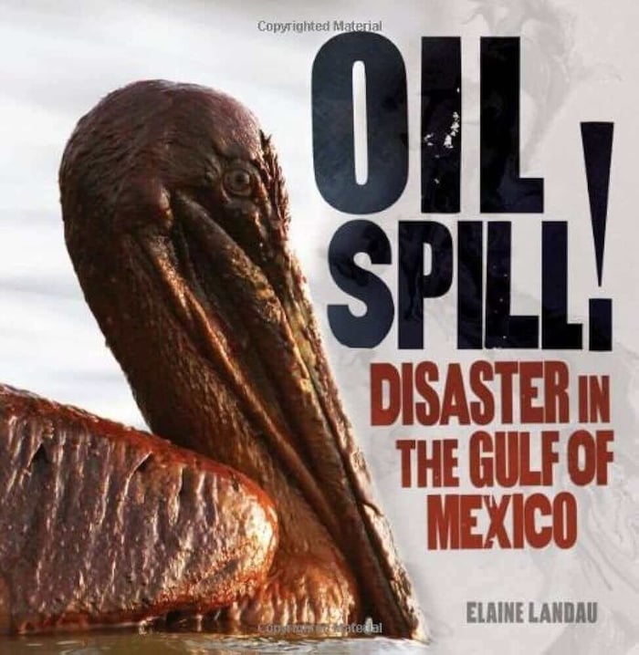 Oil Spill!: Disaster in the Gulf of Mexico: Landau, Elaine: 9780761374855: Amazon.com: Books