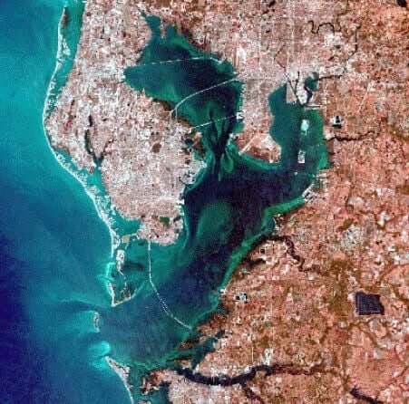 Tampa Bay, Florida (Landsat satellite image) | U.S. Geological Survey Tampa Bay, Florida (Landsat satellite image) | U.S. Geological Survey