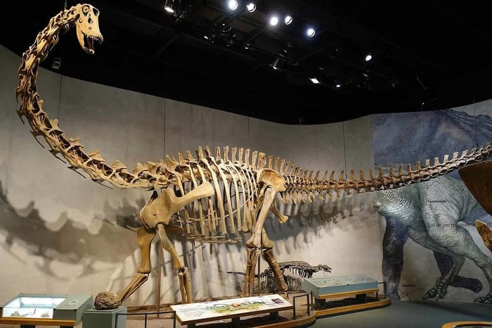 12 Famous Fossil Discoveries