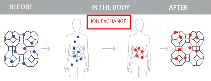 Infographic showing how PMA-zeolite works in the gut: ion exchange, release of minerals, binding of toxins, and excretion through the stool.