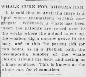 Headline featured reads, “Whale Cure for Rheumatism”.