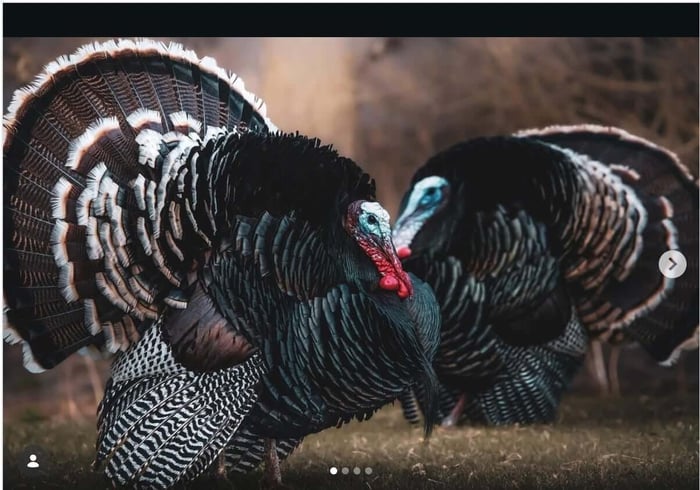 96e04baa-a948-4ba7-99c4-70721b6acaf4_1204x844.jpg 96e04baa-a948-4ba7-99c4-70721b6acaf4_1204x844.jpg