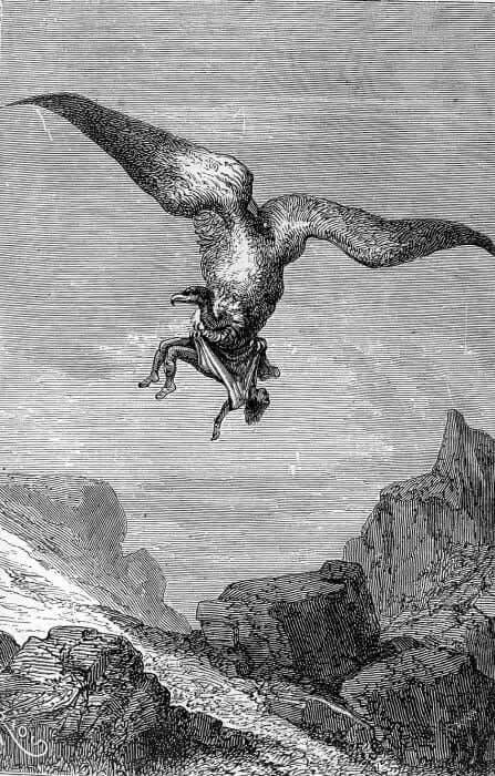 r/julesverne - Can a condor/eagle carry a kid?