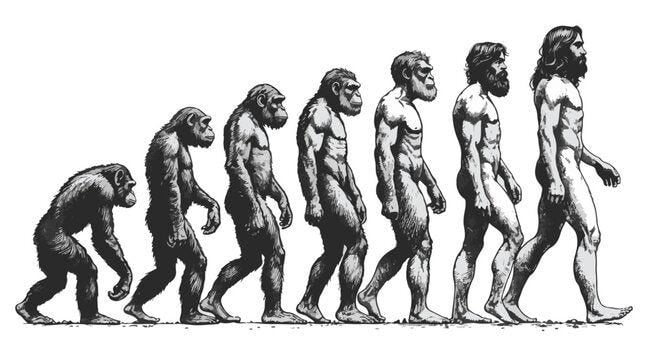 evolution of man from ape through various stages to modern human sketch engraving character vector illustration. high resolution 2