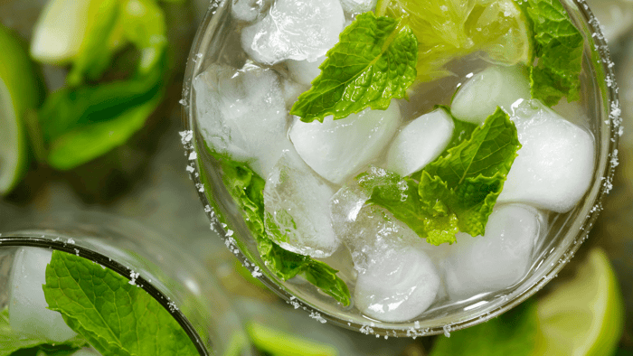 mojito-history-cuba-havana