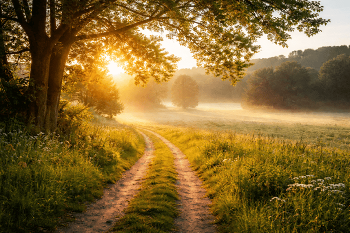 Christian Faith and Trust in God