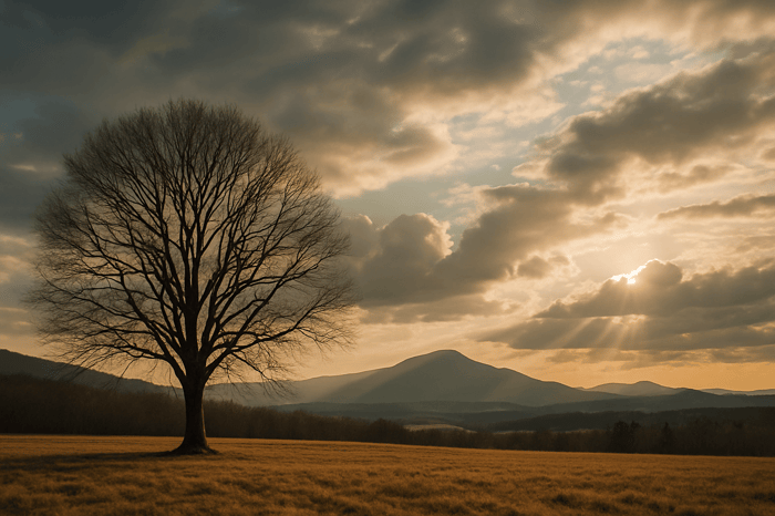 Every Knee Shall Bow: The Power of Christ’s Lordship