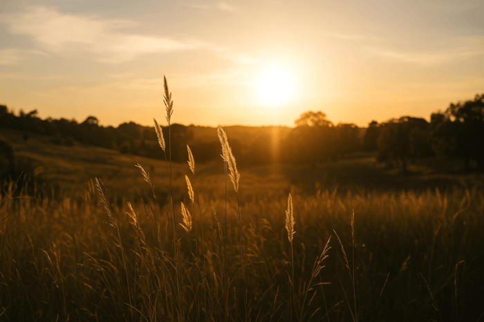 God Didn’t Give Us a Spirit of Fear: Finding Strength, Love, and Peace Through Faith