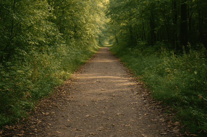 Supplication in the Bible: A Heartfelt Prayer