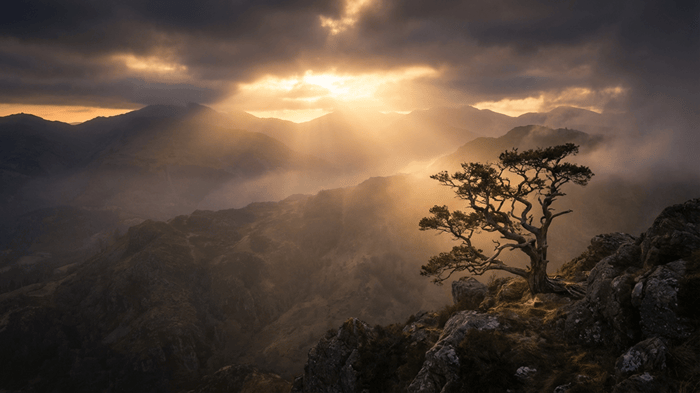 What Does God Look Like in the Bible?