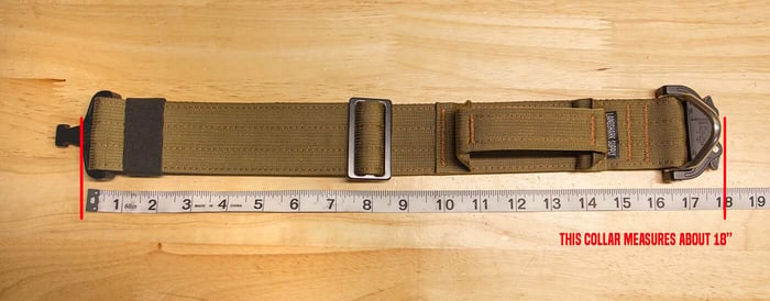 Dog Collar Sizing Tips: Measure the collar laid out flat