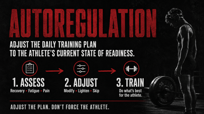 autoregulation info graphic, assess, adjust, train.
